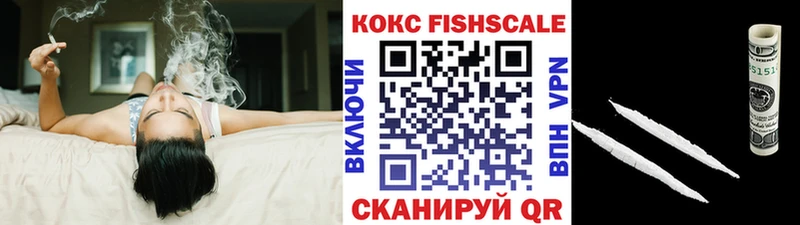 Купить закладки  Губаха  COCAIN FishScale 