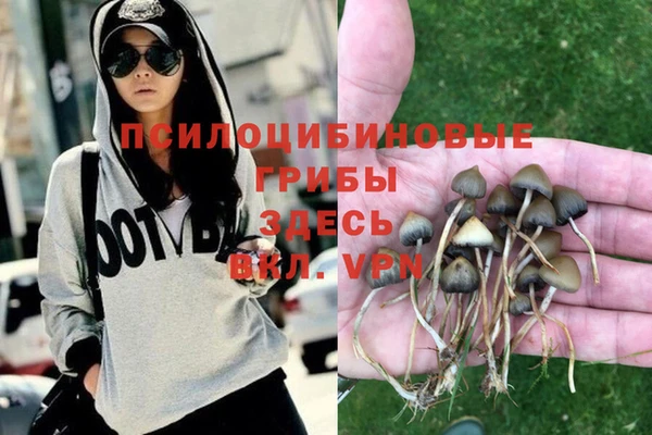 марки nbome Беломорск