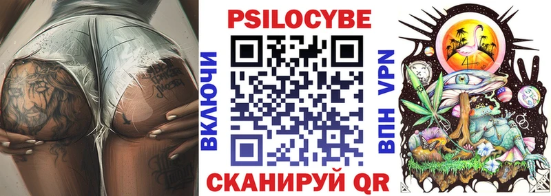 Купить где  Губаха  Галлюциногенные грибы GOLDEN TEACHER 